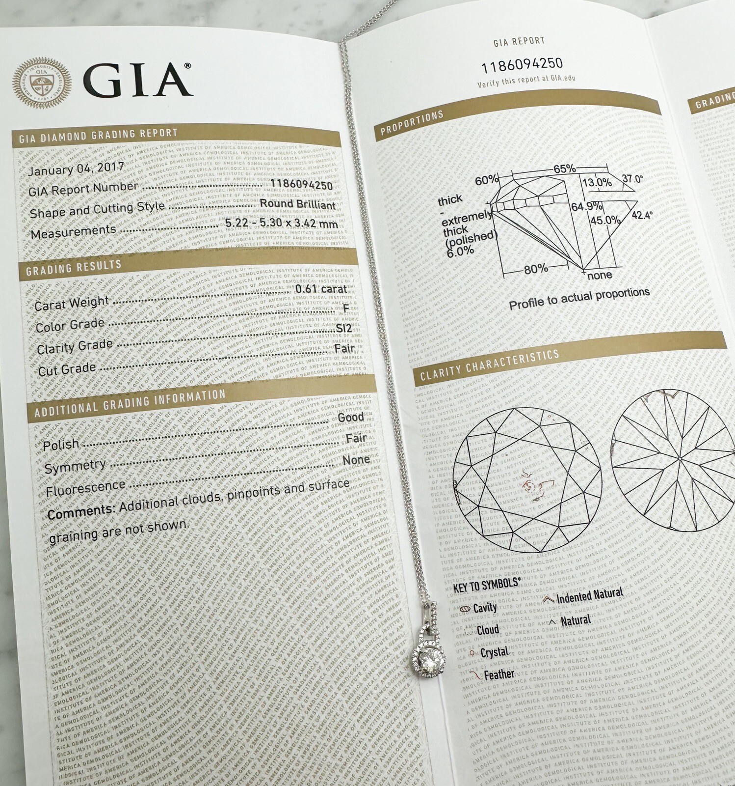 GIA Certified .61ct Diamond Halo 3/4ctw Pendant 18" Cable Necklace L957 - Image 14
